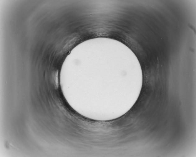 X0000101670028200807311507