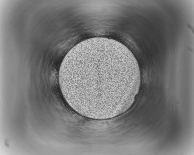 X0000101670029200807311507