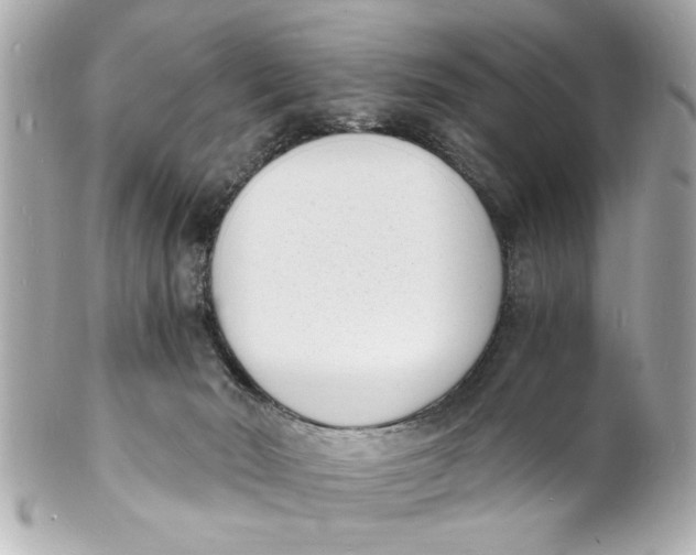 X0000101670030200807311507