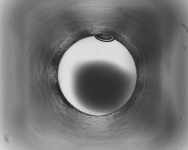 X0000101670031200807311507