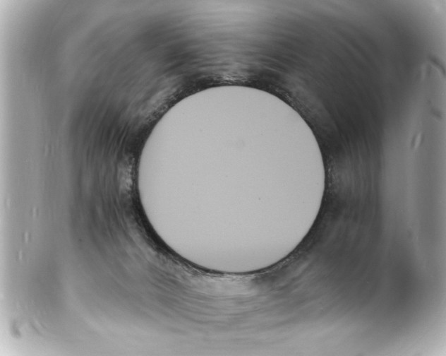 X0000101670032200807311507