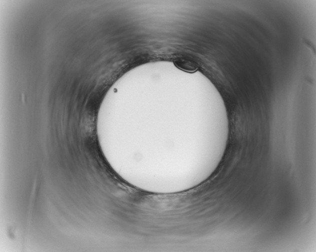 X0000101670033200807311507