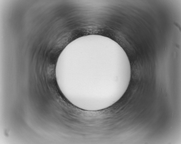 X0000101670034200807311507