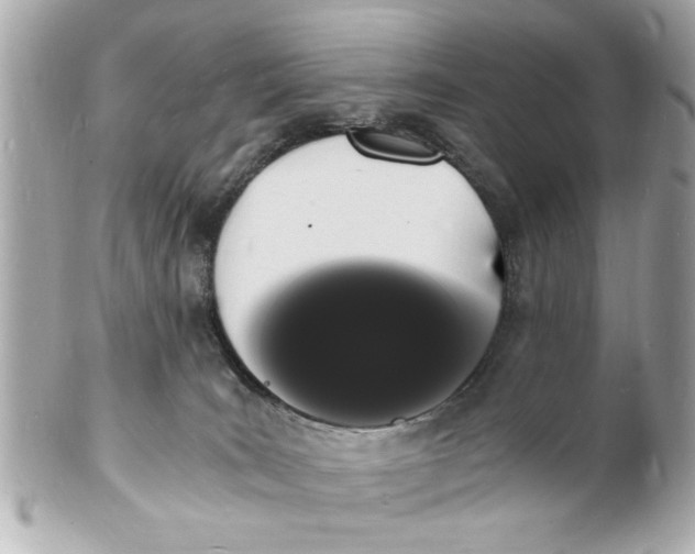 X0000101670035200807311507