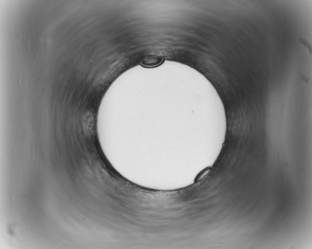 X0000101670036200807311507