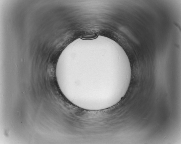 X0000101670037200807311507