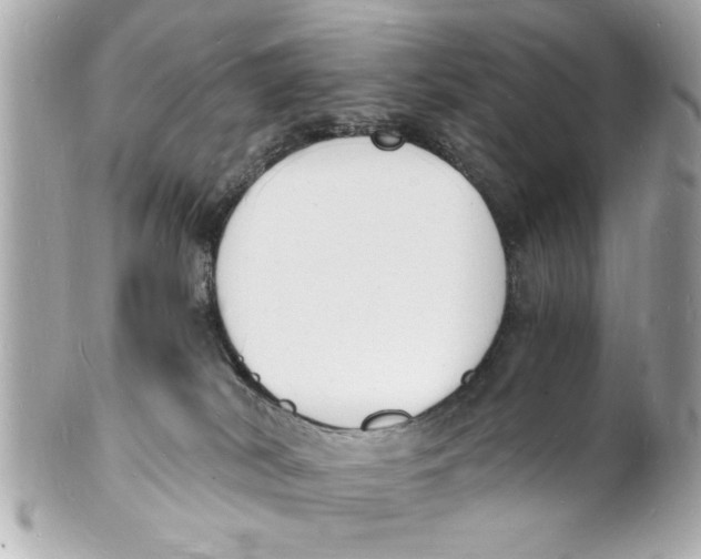 X0000101670038200807311507
