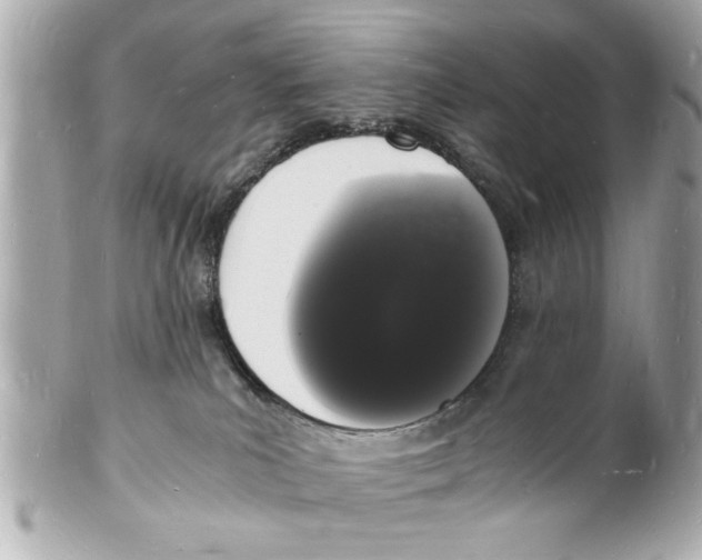 X0000101670039200807311507