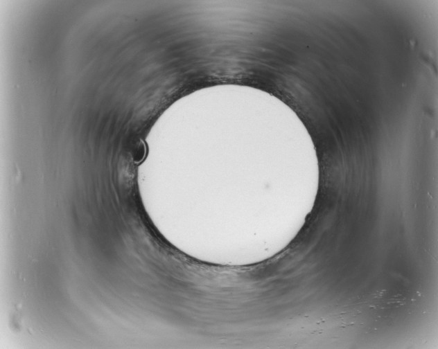 X0000101670040200807311507