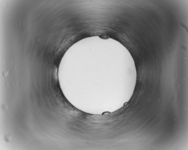 X0000101670041200807311507