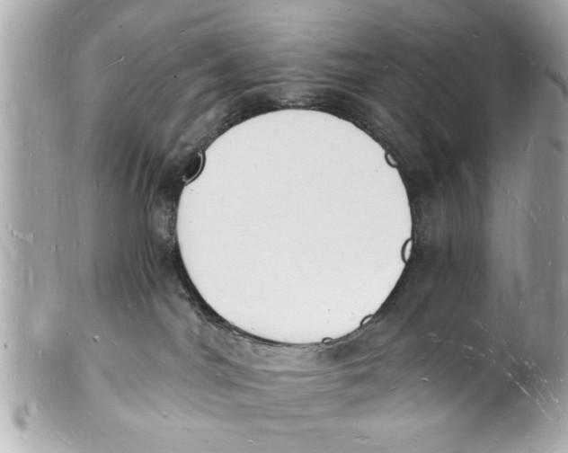 X0000101670044200807311507