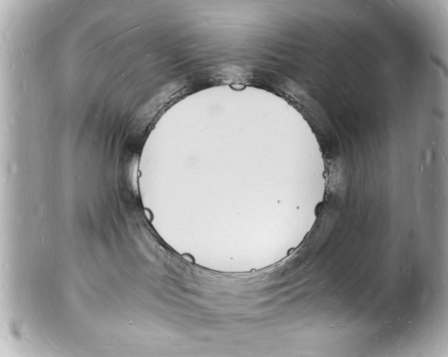 X0000101670047200807311506