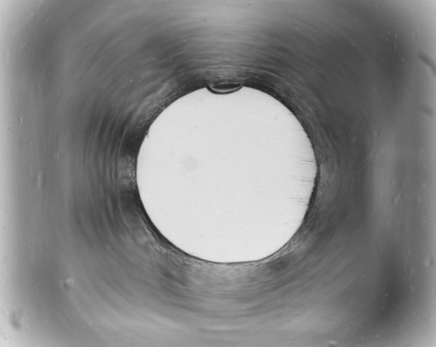 X0000101670048200807311506