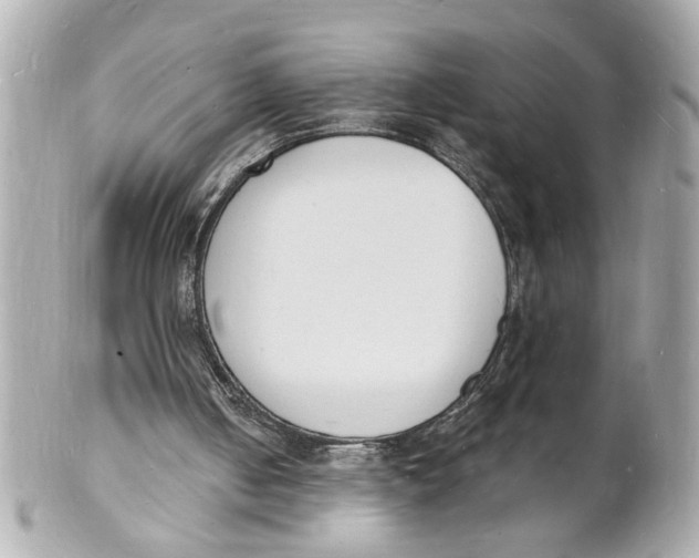 X0000101670050200807311506