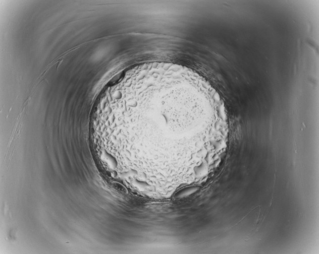 X0000101670051200807311506