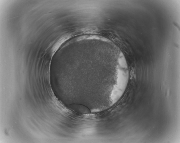 X0000101670052200807311506