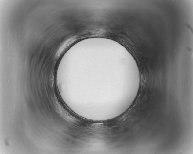 X0000101670054200807311506