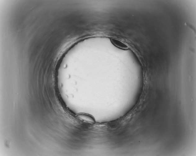 X0000101670055200807311506