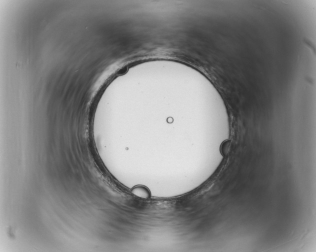 X0000101670056200807311506