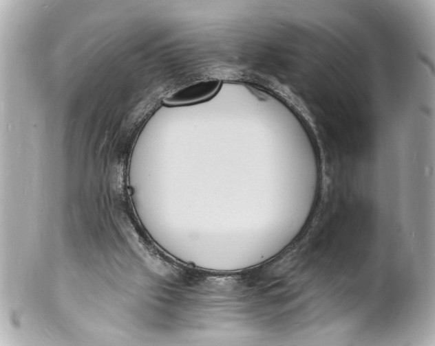 X0000101670057200807311506