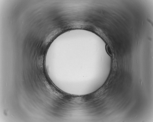X0000101670058200807311506