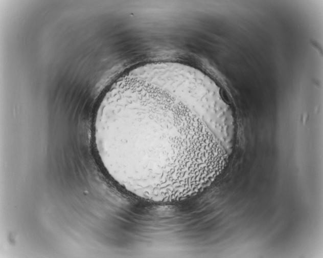 X0000101670059200807311506