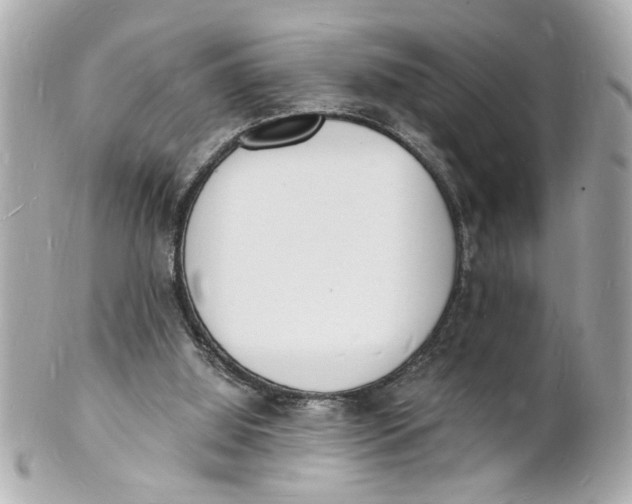 X0000101670060200807311506