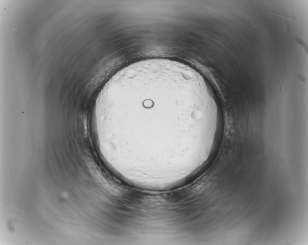 X0000101670061200807311506