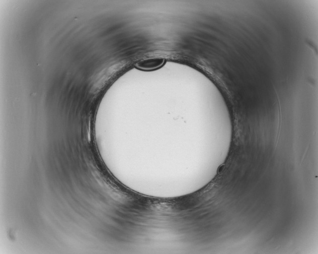 X0000101670062200807311506