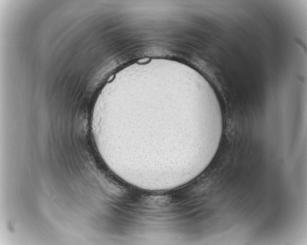 X0000101670063200807311506