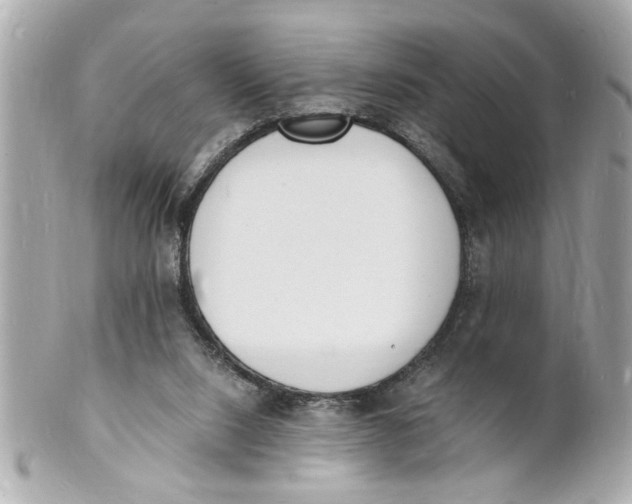 X0000101670064200807311506