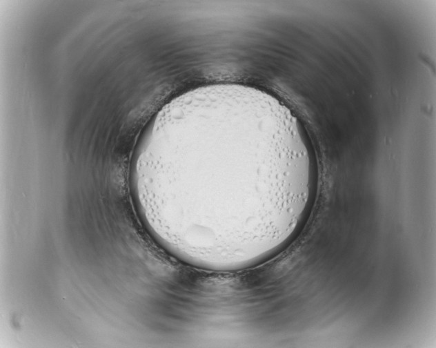 X0000101670065200807311506