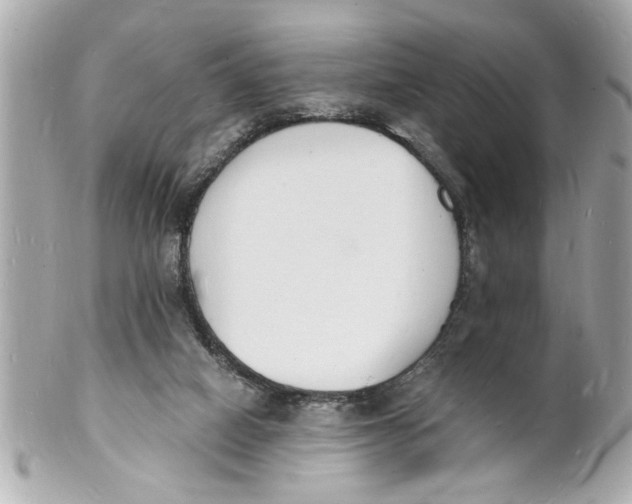 X0000101670066200807311506