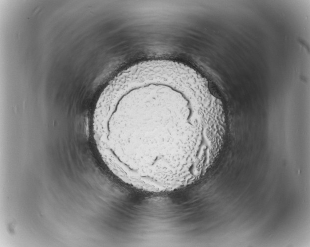 X0000101670067200807311506
