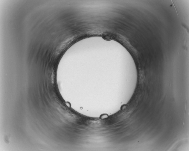 X0000101670068200807311506