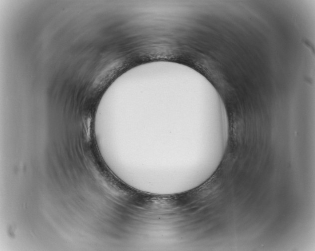 X0000101670070200807311506