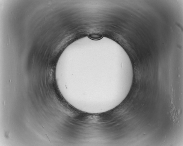X0000101670071200807311506