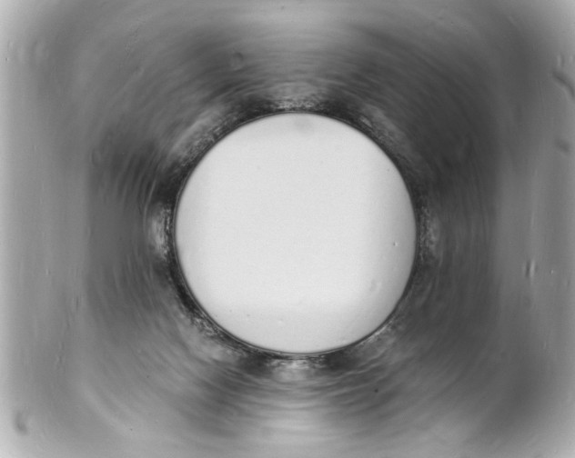 X0000101670074200807311506