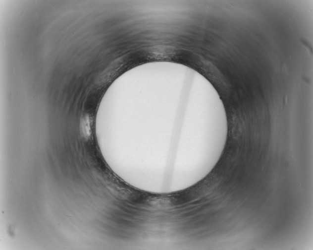 X0000101670075200807311506