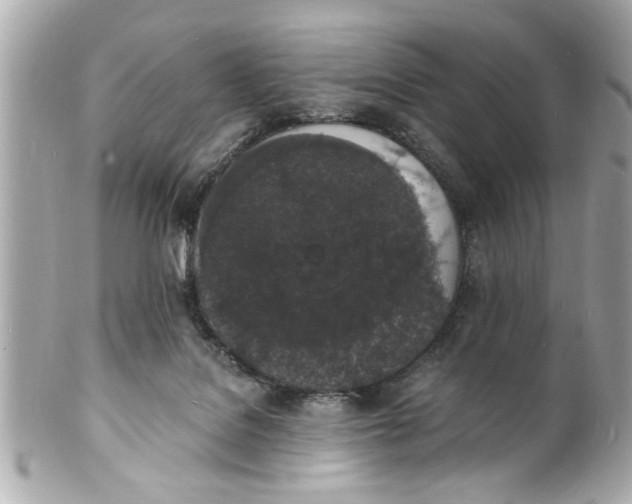X0000101670076200807311506