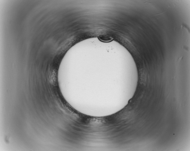 X0000101670077200807311506