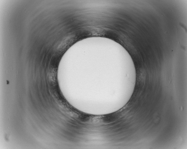 X0000101670078200807311506
