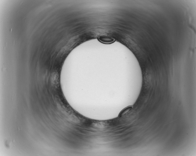 X0000101670079200807311506