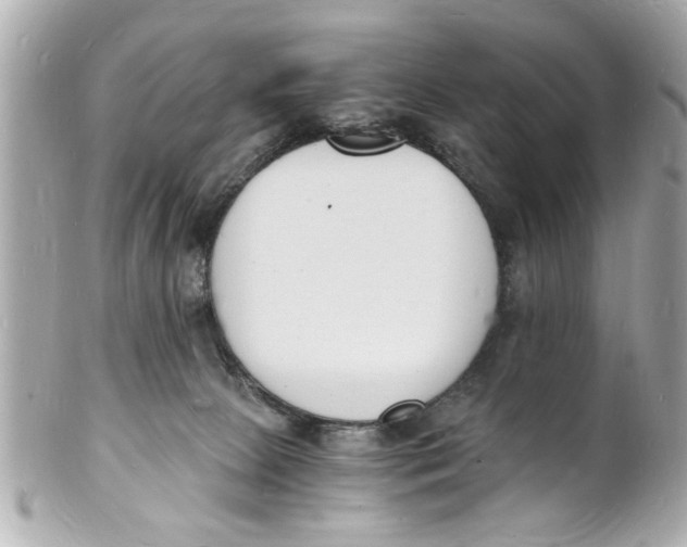 X0000101670081200807311506