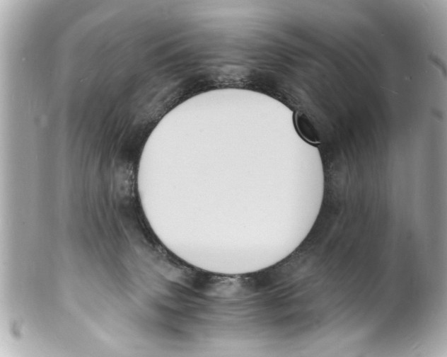 X0000101670083200807311506