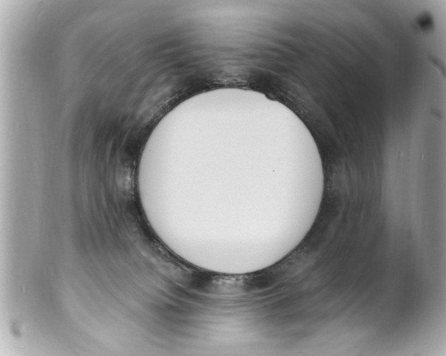 X0000101670084200807311506