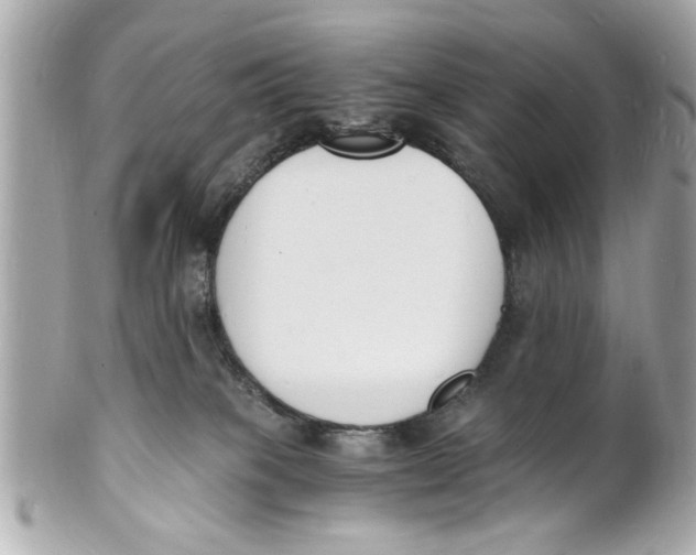 X0000101670085200807311506