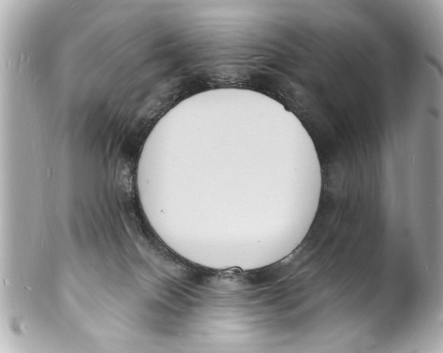 X0000101670086200807311506
