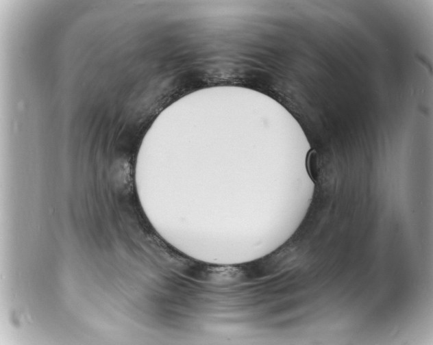 X0000101670087200807311506