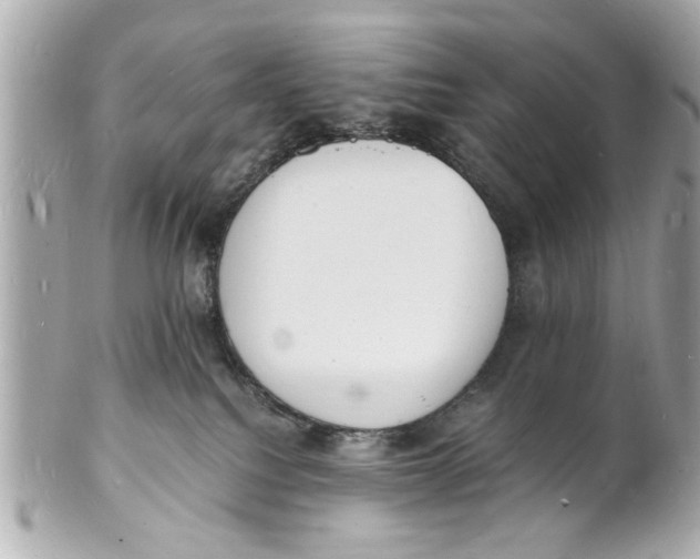 X0000101670088200807311506